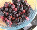 Hình bước làm 1 của món 🌱 Si Rô Blackberry Tươi Lên Men Rượu