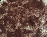 Foto langkah ke 5 dari resep Cinnamon Roll.
