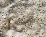 Foto del paso 5 de la receta: Pancakes de banana y kiwi con avena para bebés