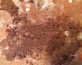 Foto langkah ke 3 dari resep 44 - Nasi Biryani Ayam (Rice Cooker).