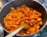 Une image de l'étape 4 de Compote d’abricots au miel de printemps.