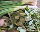 A picture of step 1 of Stuffed Bajri rotlo with spring onions and methi.