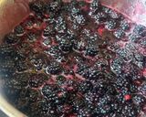 Foto del paso 3 de la receta Melmelada de mores