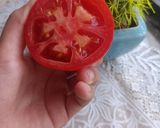 عکس مرحله 1 از دستور رب گوجه خانگی😍🍅