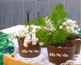 Hình bước làm 5 của món Chậu cây từ sôcôla và bánh oreo