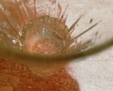 A picture of step 1 of Red Drink.