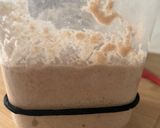 Foto del paso 2 de la receta: Panecillos de Espelta Integral