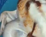 صورة لخطوة 1 من وصفة دجاجة حمرا بالفرن 🍗