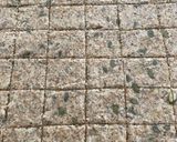 Une image de l'étape 4 de Crackers aux graines.