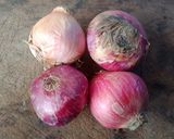 Une image de l'étape 1 de Ma recette de rognons 🩷 sauter à ma façon.