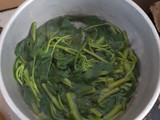 Urap sayuran