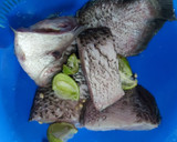 Foto langkah ke 1 dari resep Sop Ikan Gurame.