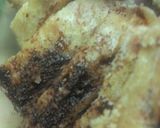 Foto langkah ke 6 dari resep Bolu kukus.