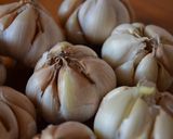 Foto del paso 1 de la receta: Crema de ajos
