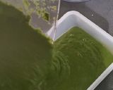 Foto del paso 7 de la receta: Crema de espinaca sanita