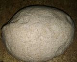 Foto del paso 1 de la receta: Pan lactal integral