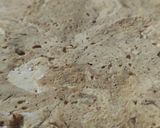 Foto del paso 9 de la receta: Mantecol