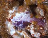 A picture of step 3 of Easy Mutton Biryani.