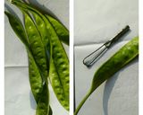 A picture of step 1 of Spicy petai(waikreh lauhshi).
