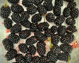 Foto del paso 1 de la receta: Pastel de moras