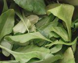 A picture of step 1 of Palak Paneer.