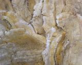 Foto langkah ke 3 dari resep Pisang (Sanggara) Peppe Khas Sulawesi Selatan.