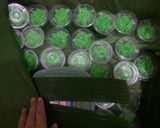 Foto langkah ke 4 dari resep Tape Ketan Mini.