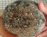 Foto langkah ke 23 dari resep Charcoal Sourdough Bread (Open Bake Method - Oven Tangkring).