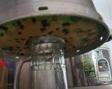 Foto langkah ke 5 dari resep Chiffon Pandan Chocochip.