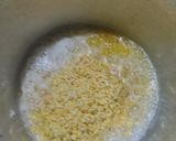 દાળ અને ઓટ્સ ની ખીચડી (Dal Oats Khichdi Recipe In Gujarati) રેસીપી સ્ટેપ3ફોટો