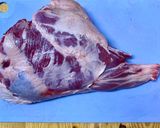 A picture of step 1 of Leg of lamb baked with oranges.