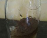 Foto langkah ke 4 dari resep Es Susu Cincau.