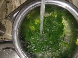 पालक (Palak recipe in Hindi)