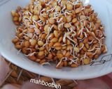 عکس مرحله 4 از دستور جوانه عدس