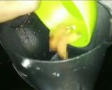 A picture of step 2 of Dry fruit lassi.