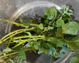 Foto del paso 1 de la receta: Revuelto de diente de león fresco