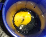 Foto del paso 2 de la receta: Huevo revuelto en Microondas 🇺🇾😊