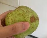 Foto langkah ke 1 dari resep Manisan Jambu Kristal.