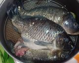 Foto langkah ke 1 dari resep Arsik Ikan Mas Presto.