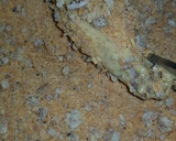 Foto del paso 12 de la receta: Pollo kentucky