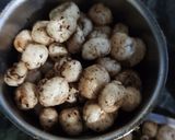 अलसी गुड आटे की पिन्नी (Alsi gur aate ki pinni recipe in Hindi) रेसिपी चरण 5 फोटो