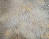 மரவள்ளிக் கிழங்கு போண்டா(tapioca bonda recipe in tamil) ரெசிபி ஸ்டேப் 3 புகைப்படம்