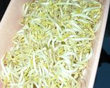 Foto langkah ke 1 dari resep Tumis toge saori.
