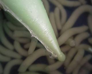 64. Cendol Praktis - Step 3