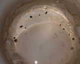 Foto langkah ke 2 dari resep Bubur Mutiara.