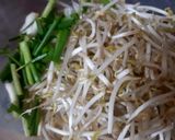 Hình bước làm 1 của món Bạch tuộc và thịt xay xào giá