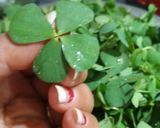 A picture of step 1 of Saag.