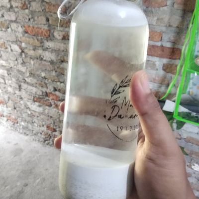 Langkah 2