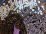 Double Chocolate brownies