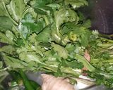 A picture of step 1 of Coriander chutney.